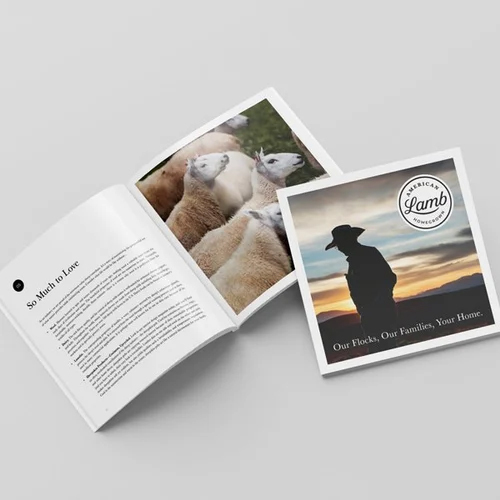 Custom Booklet Printing Services