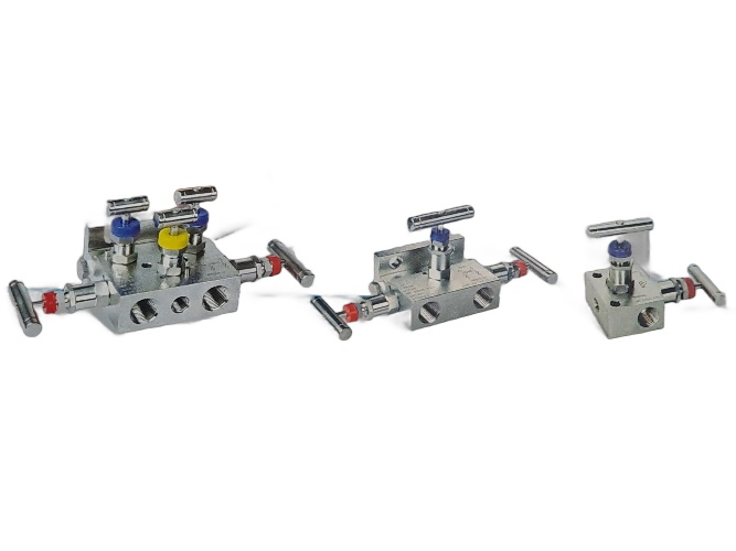 STAINLESS STEEL -304 Valve Manifolds