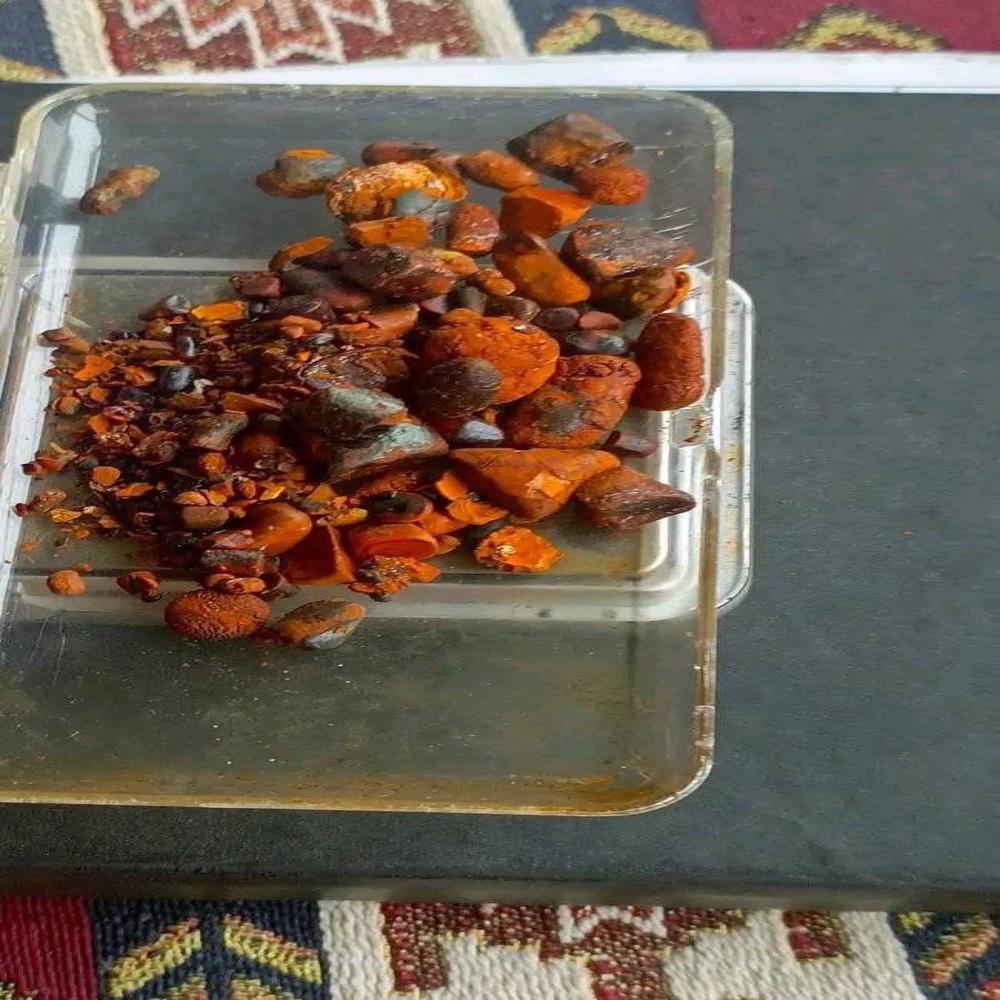 Dried Natural Cow Ox Gallstones | Cattle Gallstones for Sale