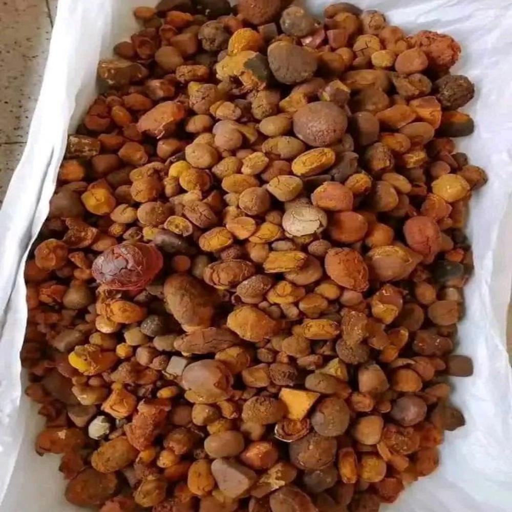 CHEAP DREIRD COW GALLSTONE