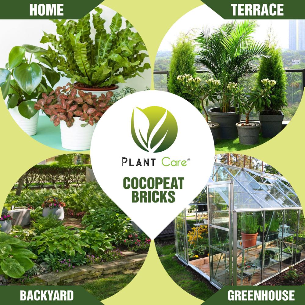 5 Kg Coco Peat Bricks - Application: Agriculture