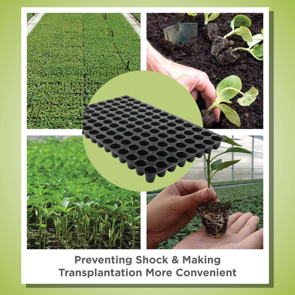 0.45 MM 104 Cell Seed Tray