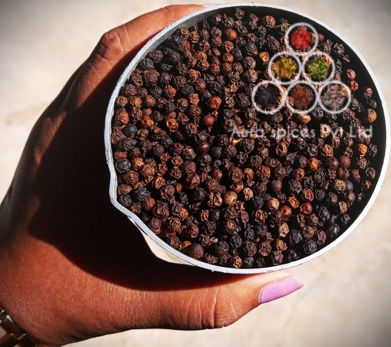  BLACK PEPPER MEDIUM BOLD