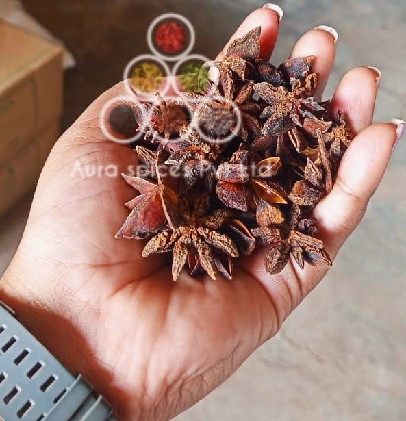 Star Anise Premium - Color: Brown