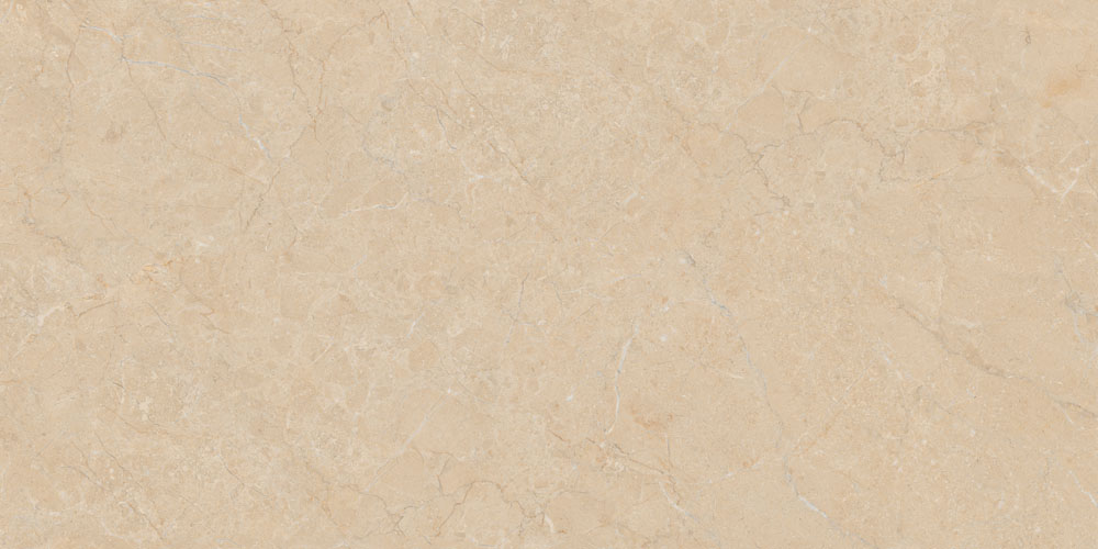 DLG - 160 60X120CM PORCELAIN TILES