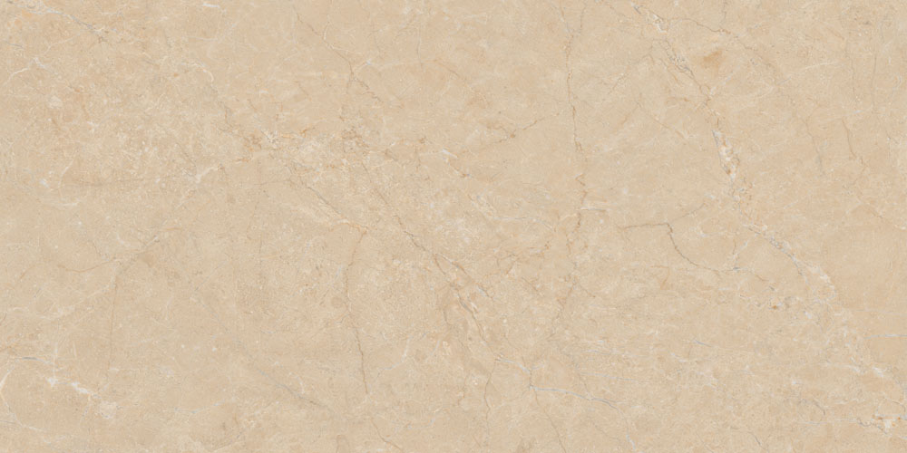 DLG - 160 60X120CM PORCELAIN TILES