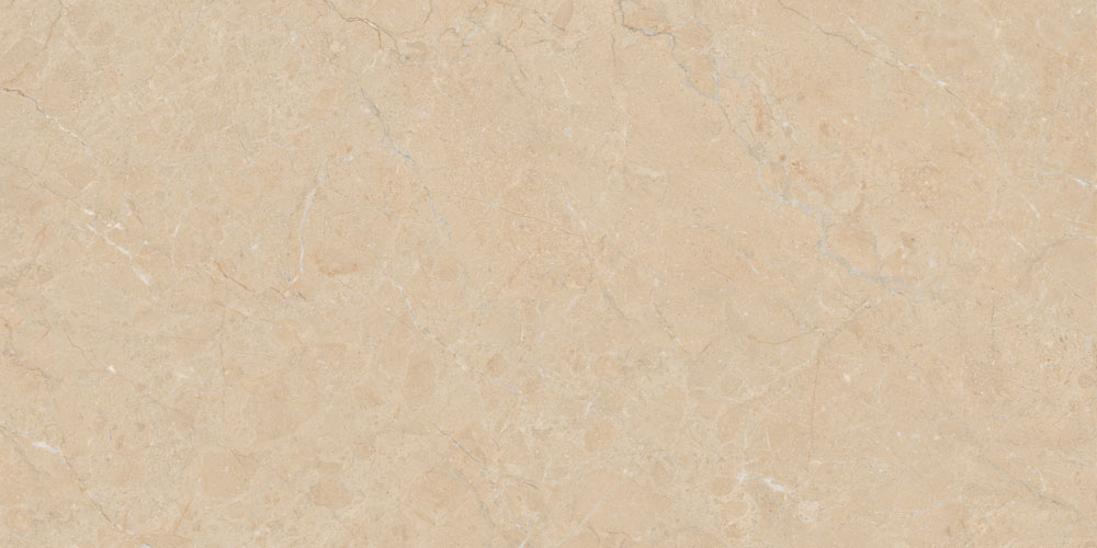DLG - 160 60X120CM PORCELAIN TILES