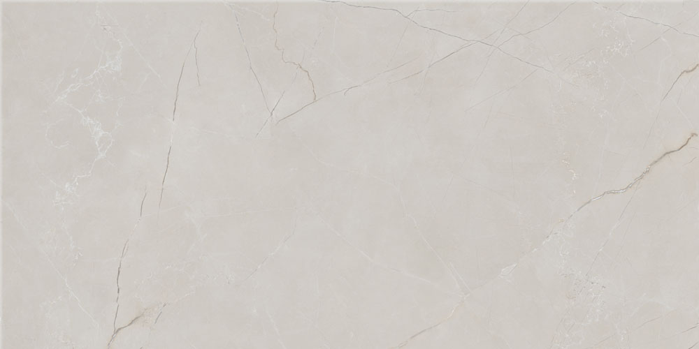DLG - 161 60X120CM PORCELAIN TILES