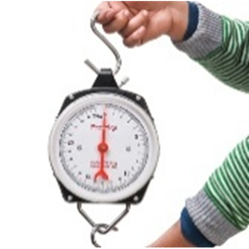 Hanging Hook Scale - Automation Grade: Automatic