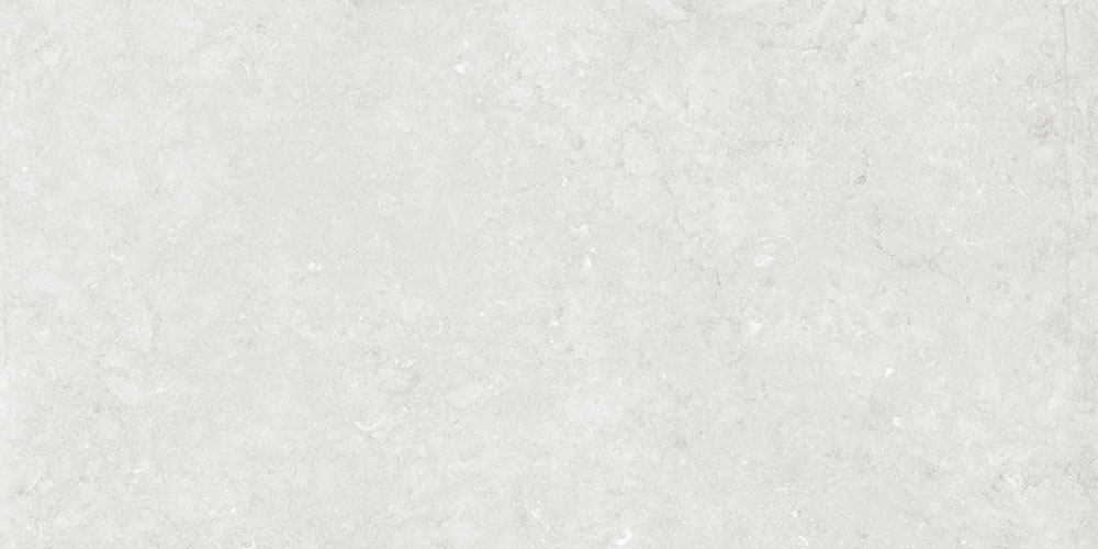 Dlg - 165 60x120cm Porcelain Tiles - Color: Grays