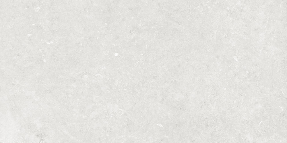 DLG - 165 60X120CM PORCELAIN TILES