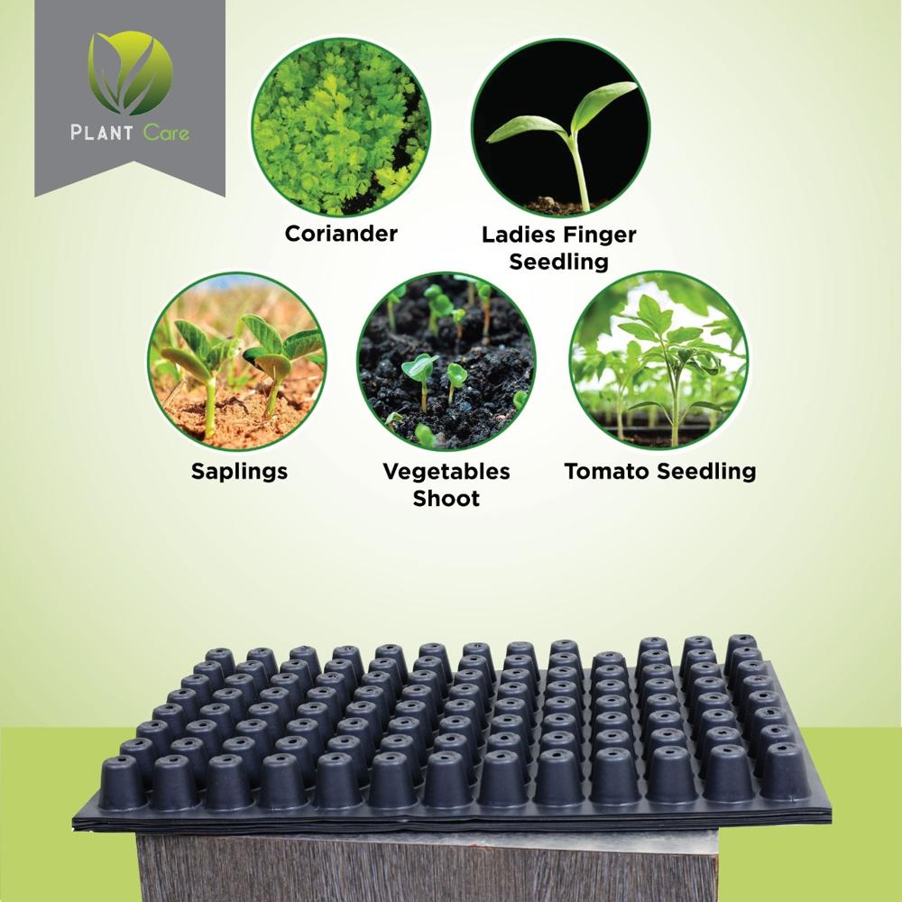 1 MM 104 Cell Seed Tray
