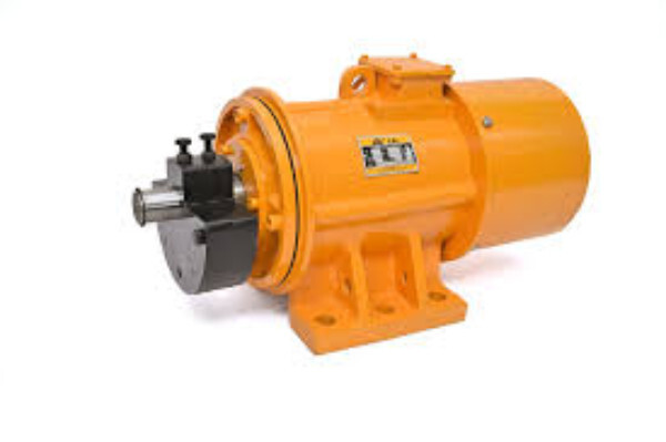 Vibrating Electric Motor