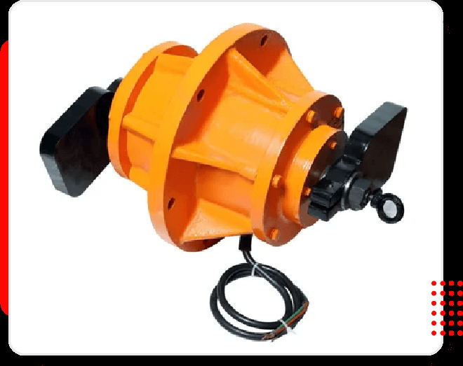 Vibrating Electric Motor