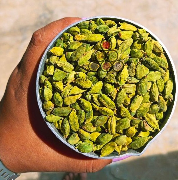 Green Cardamom 6MM-7MM