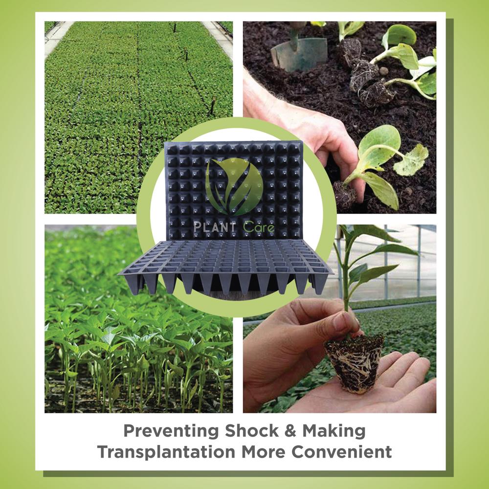 99 Cell Seed Tray - Dimension (L*w*h): 54x24x5  Centimeter (Cm)