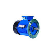 Induction Electric Motors Flange Mounted