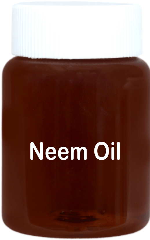Neem Oil - Color: Brown