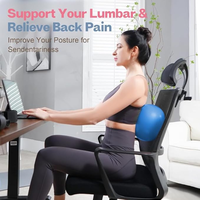  Gym Exercise & Fitness Ball 