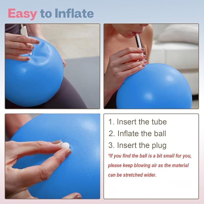  Gym Exercise & Fitness Ball 