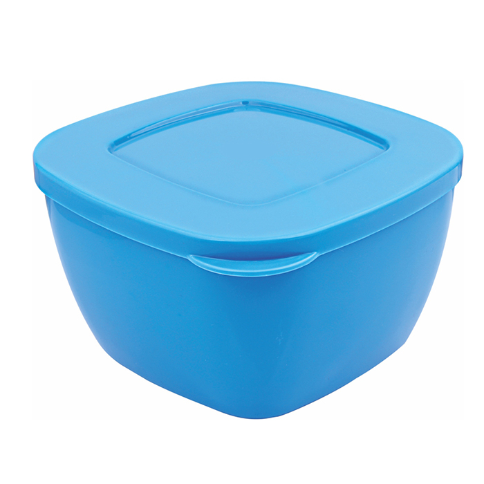 Fresh N Fresh Container's Set