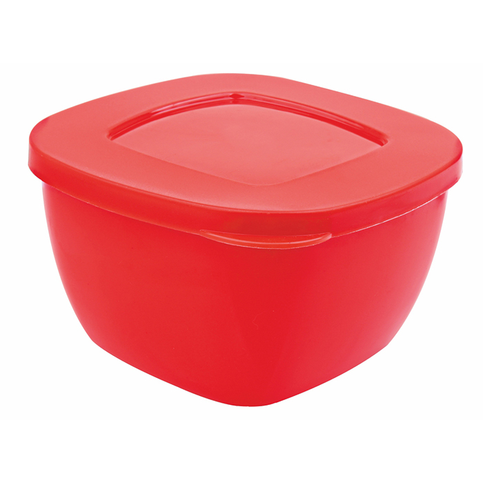 Fresh N Fresh Container's Set