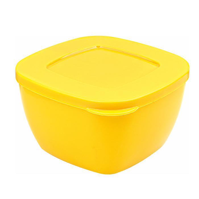 Fresh N Fresh Container's Set