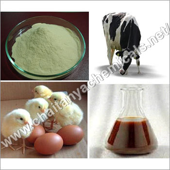 हाइड्रोलाइज्ड प्रोटीन पाउडर प्रभावकारिता: विकास को बढ़ावा दें