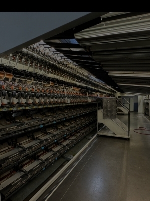 Giudici Texturising Machine