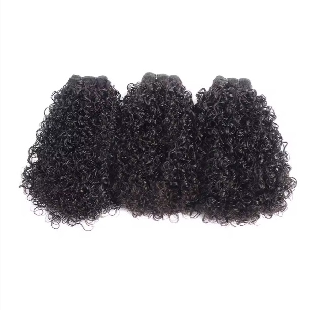 The Devote Raw Vietnamese Virgin Human Hair Double Drawn Pixie Curly Thick Bundles