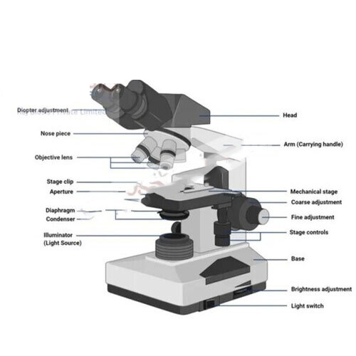 Tubler Microscope Standard