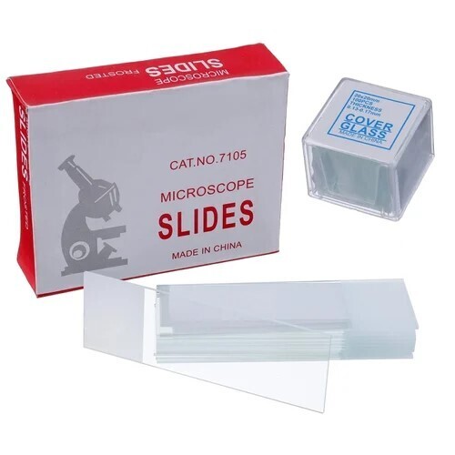 Microscope Glass Slides