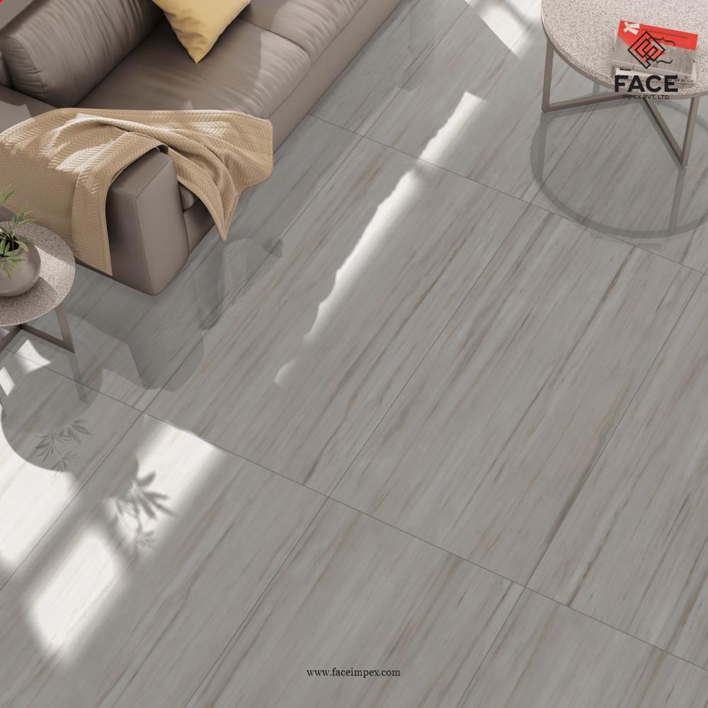 DLG - 167 60X120CM PORCELAIN TILES