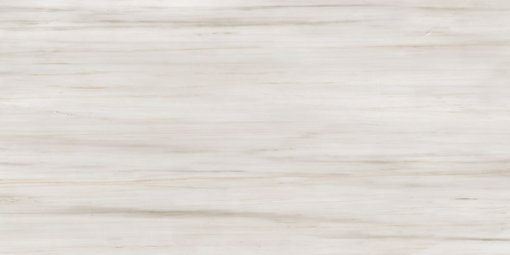 DLG - 167 60X120CM PORCELAIN TILES