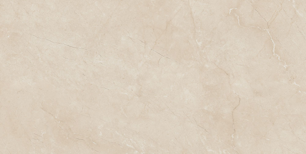 DLG - 172 60X120CM PORCELAIN TILES