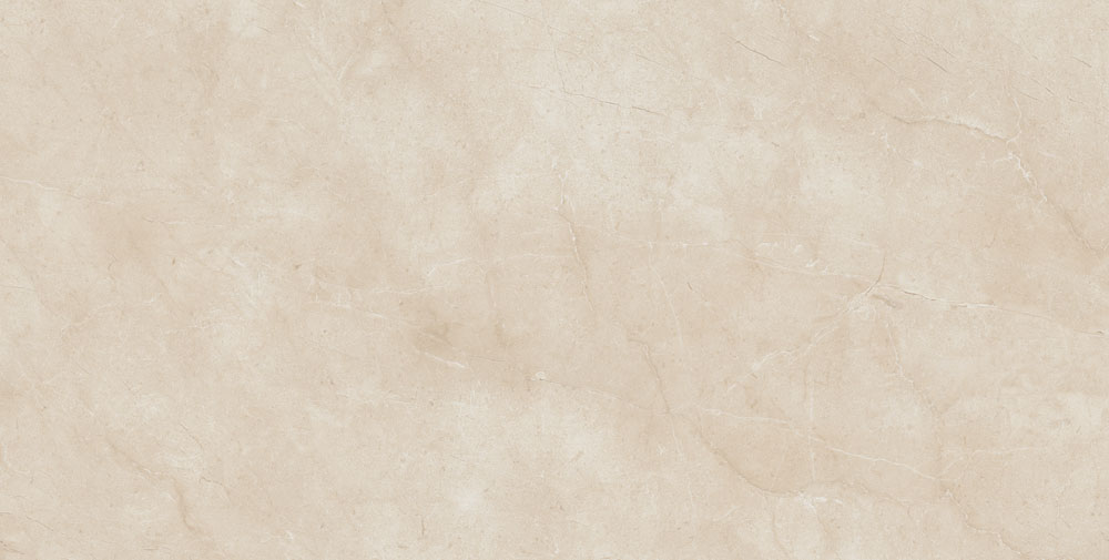 DLG - 172 60X120CM PORCELAIN TILES