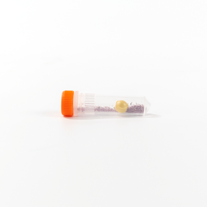 Lysing Matrix A, 2mL Tube