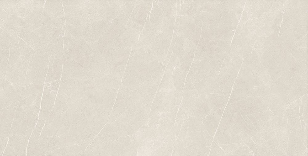 DLG - 173 60X120CM PORCELAIN TILES