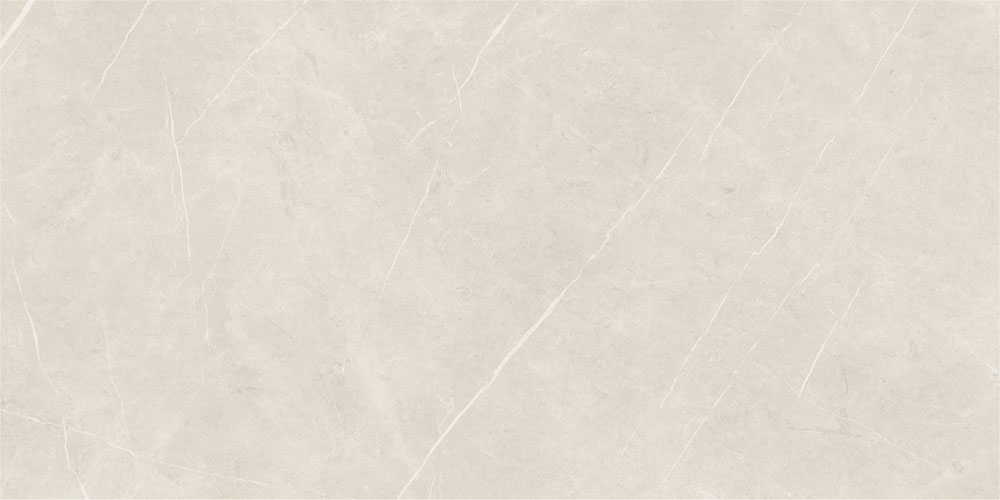 DLG - 173 60X120CM PORCELAIN TILES