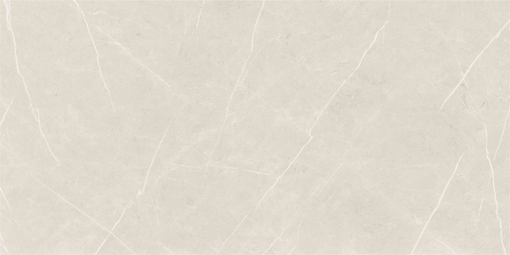 DLG - 173 60X120CM PORCELAIN TILES