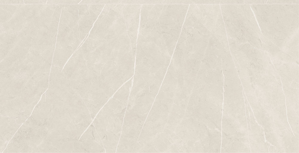 DLG - 173 60X120CM PORCELAIN TILES
