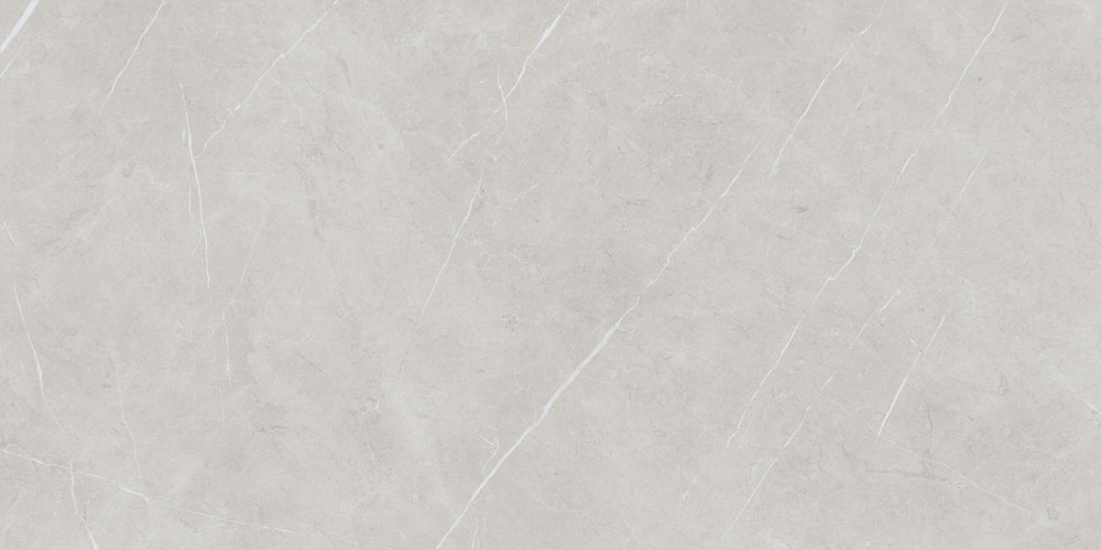 DLG - 174 60X120CM PORCELAIN TILES