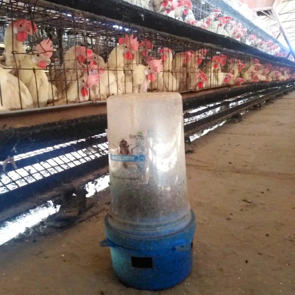 Fly Trap - Coverage Area: 300-500 Square Foot (Ft2)