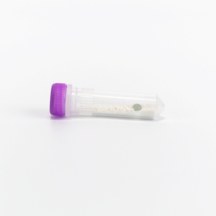 Lysing Matrix E, 2 Ml Tube - Cas No: 116914050