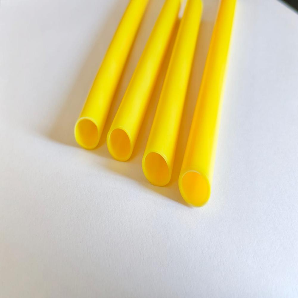 Nylon twelve tube