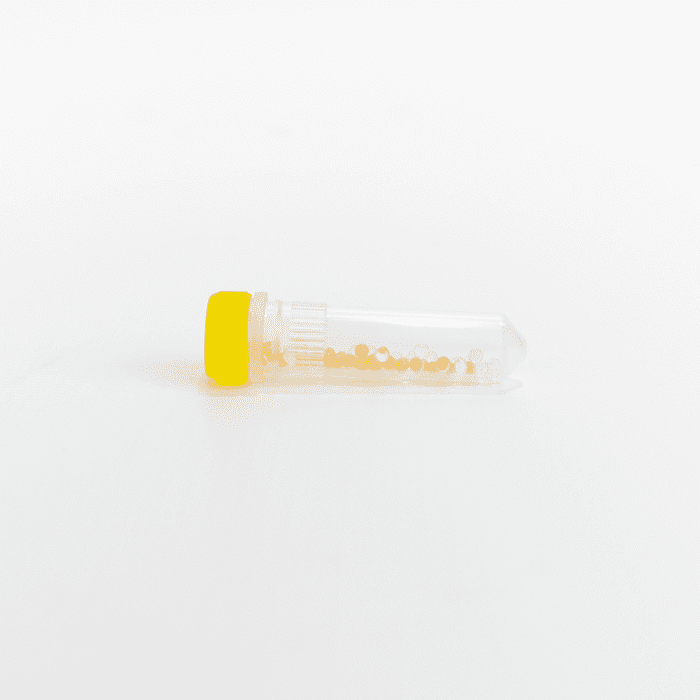 Lysing Matrix H, 2 mL tube