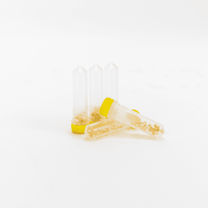 Lysing Matrix H, 2 mL tube