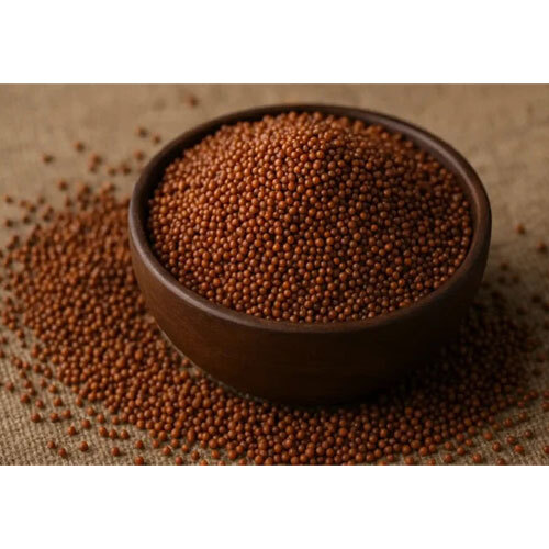 Finger Millet (Ragi)