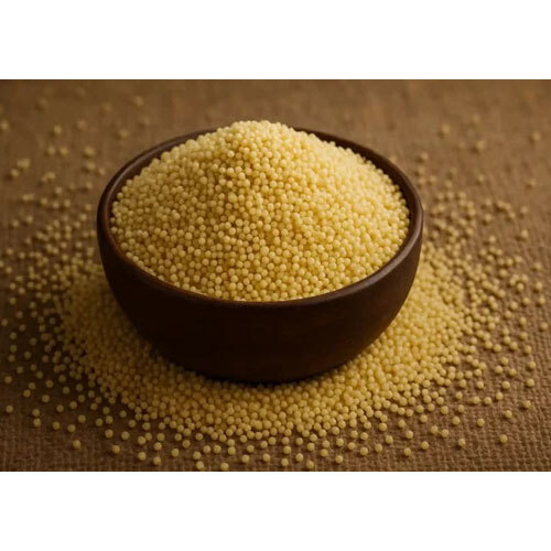 Foxtail Millet (Kakum-Kangni) - Color: Brown