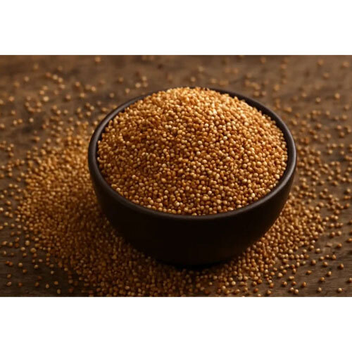 BrownTop Millet (Jhangora-Andua)
